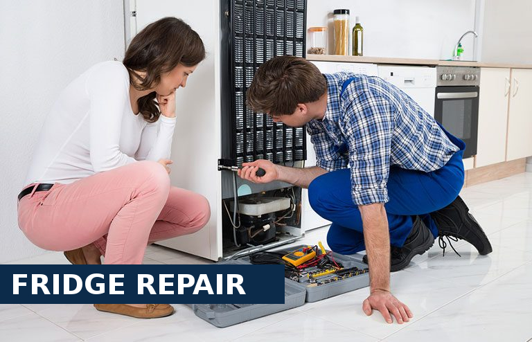 Fridge Repair Golders Green